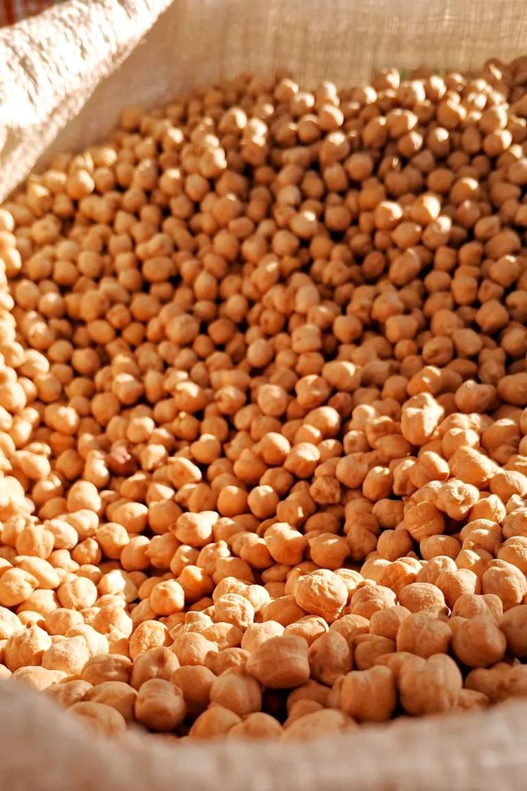 Dried chickpeas in bulk